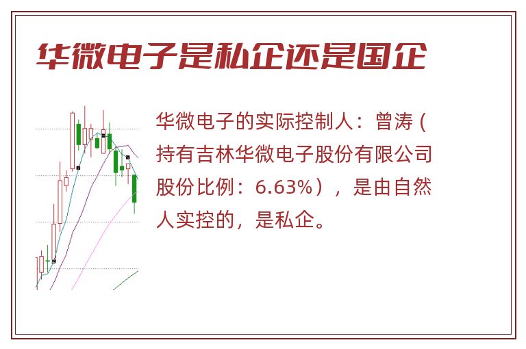 华微电子是私企还是国企