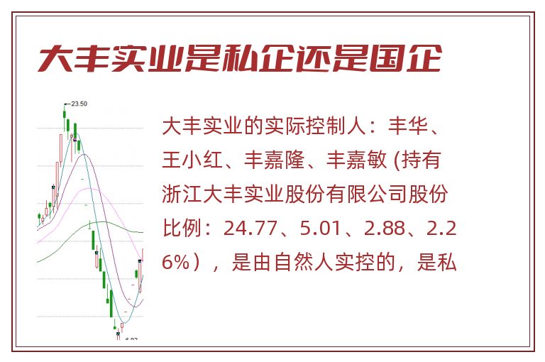 大丰实业是私企还是国企