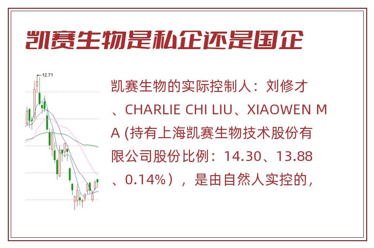 凯赛生物是私企还是国企