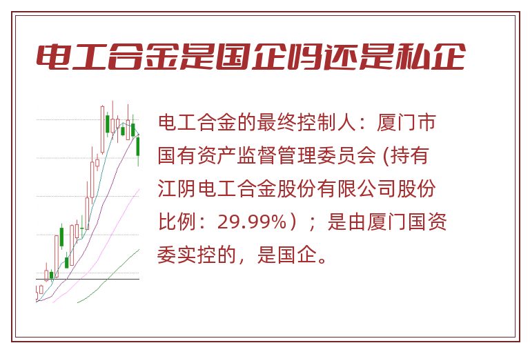 电工合金是国企吗还是私企