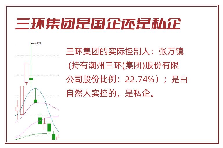 三环集团是国企还是私企