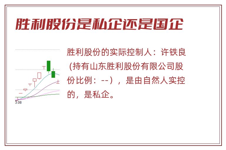 胜利股份是私企还是国企