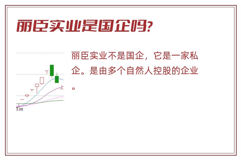 丽臣实业是国企吗?