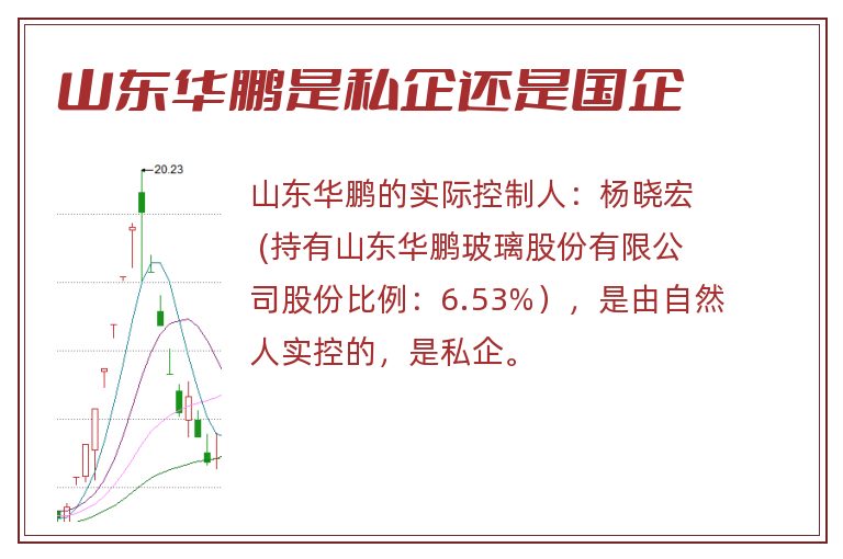 山东华鹏是私企还是国企