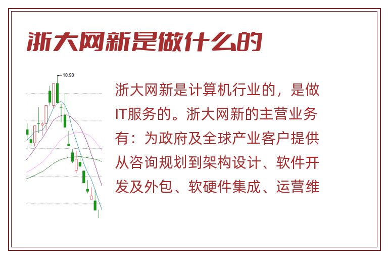 浙大网新是做什么的