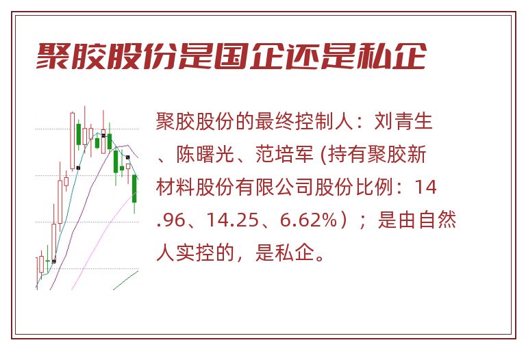 聚胶股份是国企还是私企