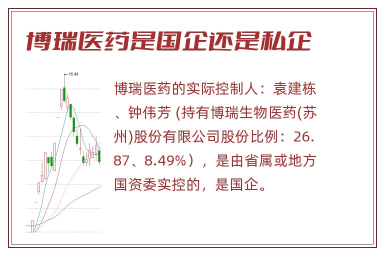 博瑞医药是国企还是私企