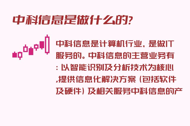 中科信息是做什么的?