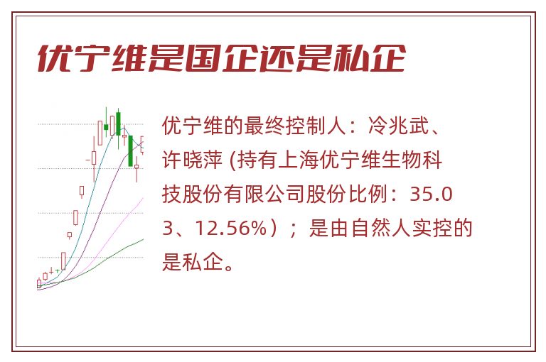 优宁维是国企还是私企