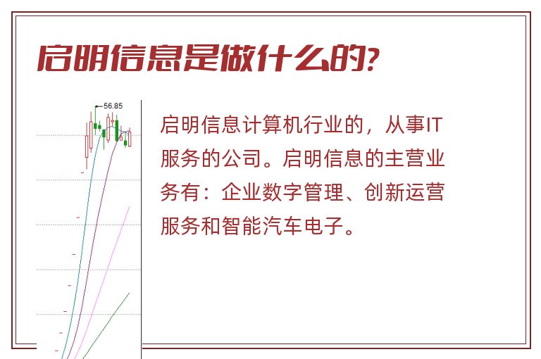 启明信息是做什么的?