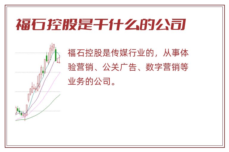 福石控股是干什么的公司