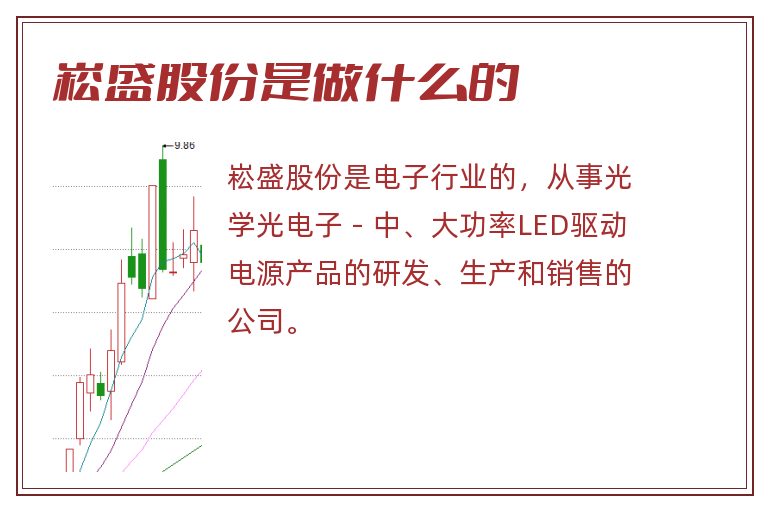 崧盛股份是做什么的