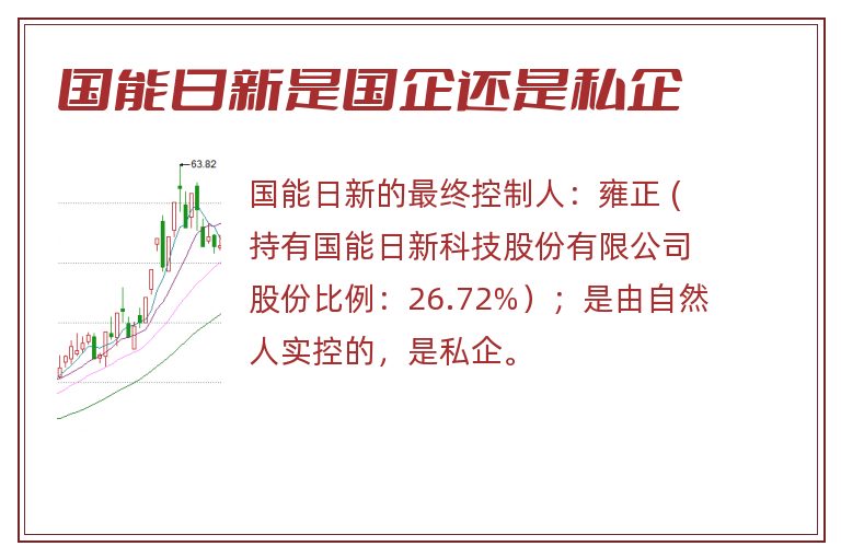 国能日新是国企还是私企