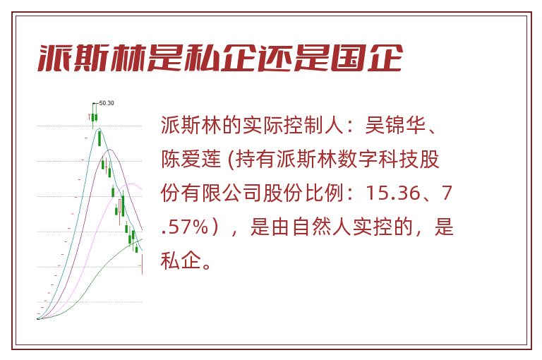 派斯林是私企还是国企