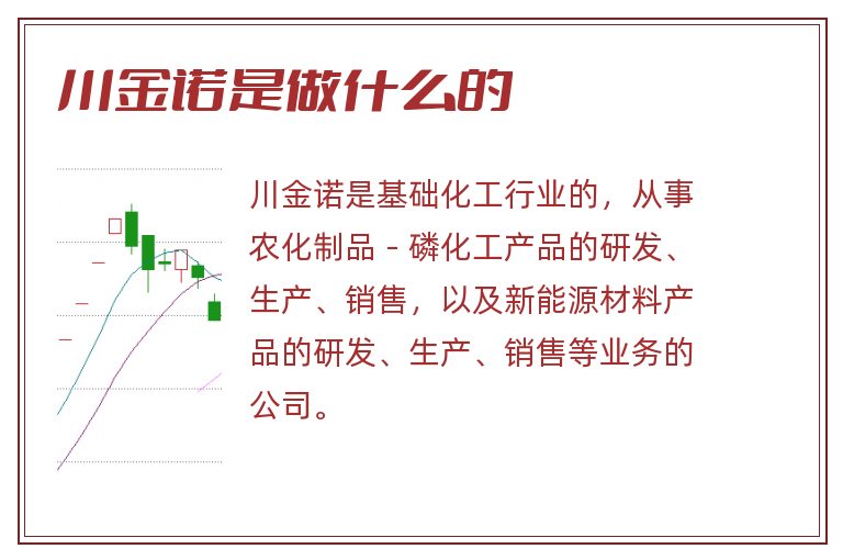 川金诺是做什么的