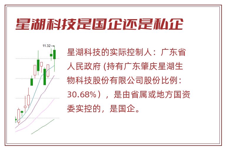 星湖科技是国企还是私企