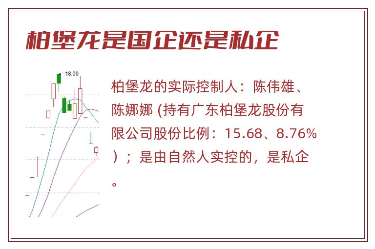 柏堡龙是国企还是私企