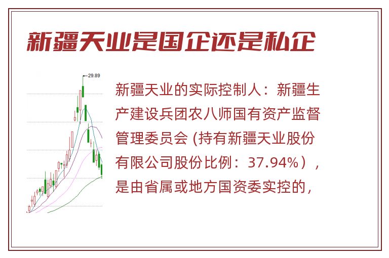 新疆天业是国企还是私企