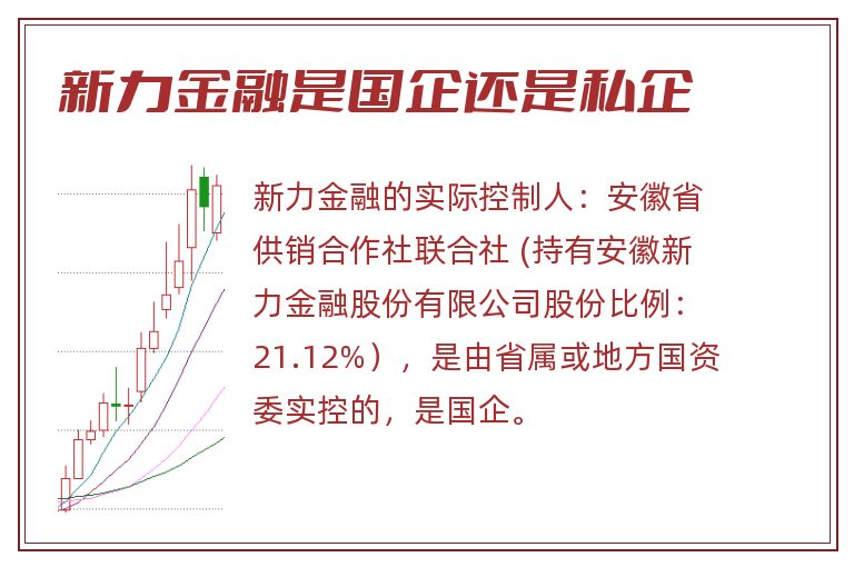 新力金融是国企还是私企