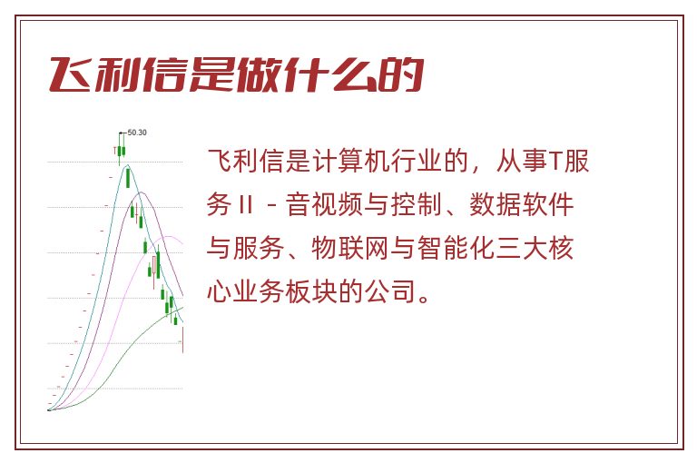 飞利信是做什么的