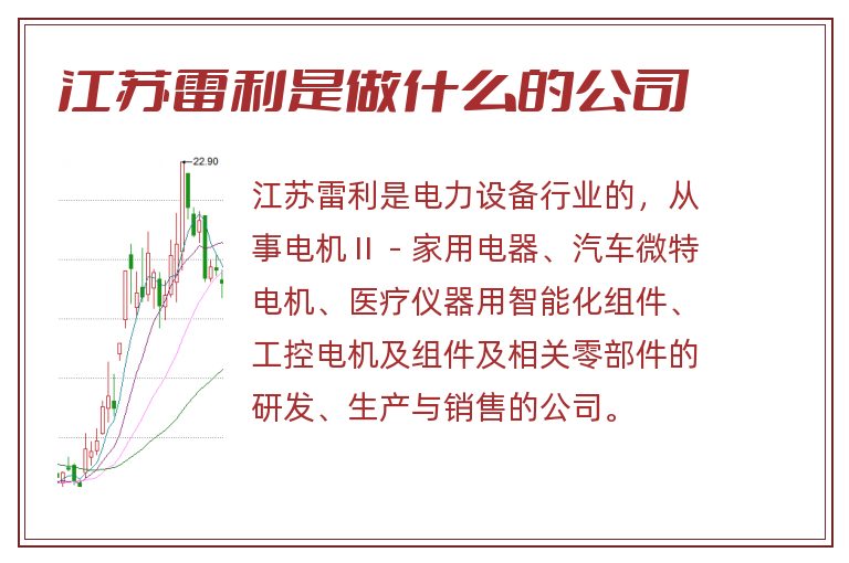 江苏雷利是做什么的公司