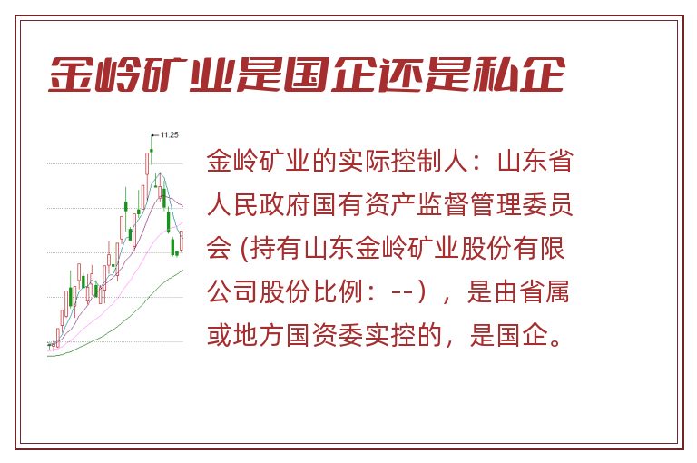 金岭矿业是国企还是私企