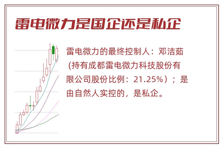 雷电微力是国企还是私企