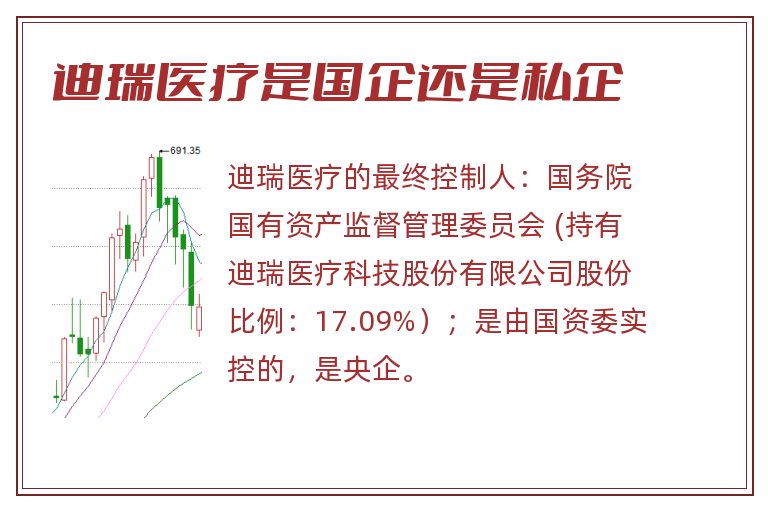 迪瑞医疗是国企还是私企