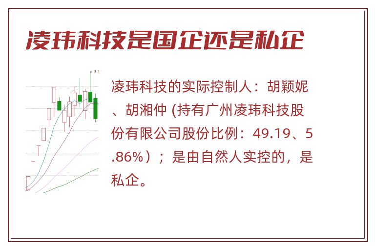 凌玮科技是国企还是私企