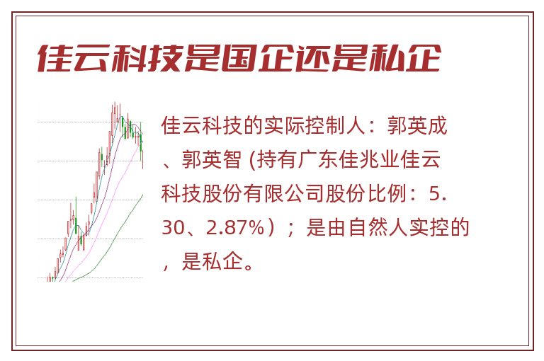 佳云科技是国企还是私企