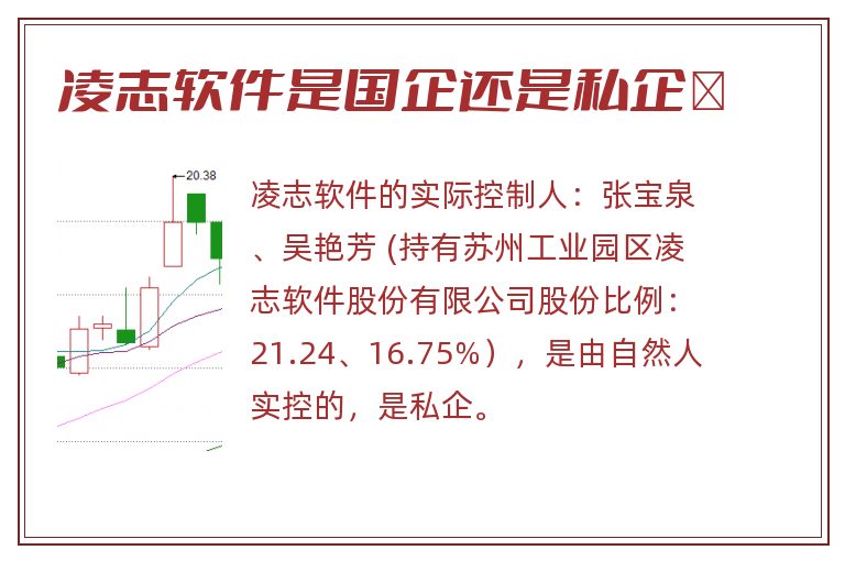 凌志软件是国企还是私企	