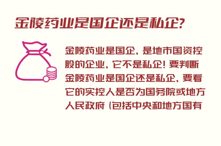 金陵药业是国企还是私企？