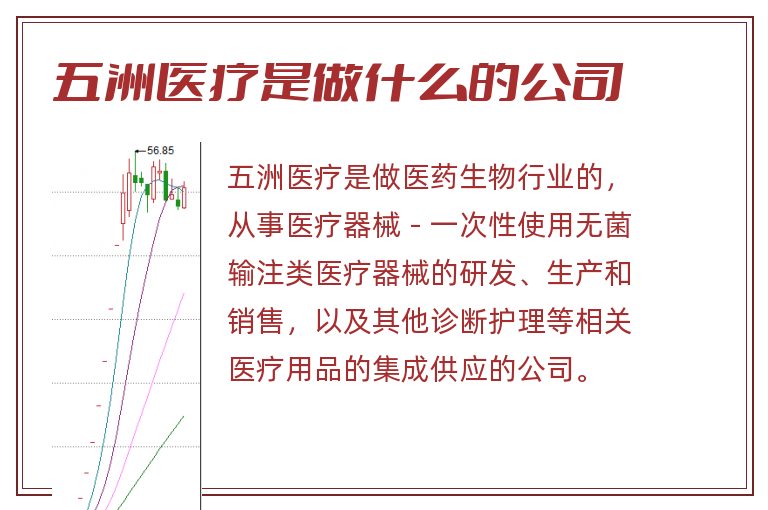 五洲医疗是做什么的公司