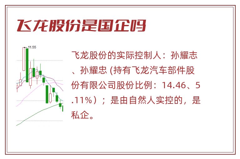 飞龙股份是国企吗