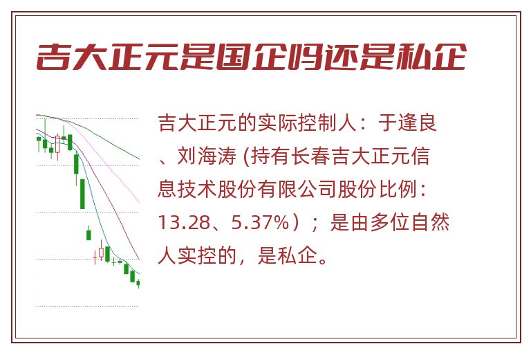 吉大正元是国企吗还是私企