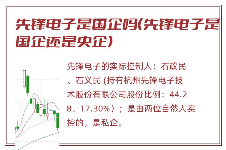 先锋电子是国企吗（先锋电子是国企还是央企）