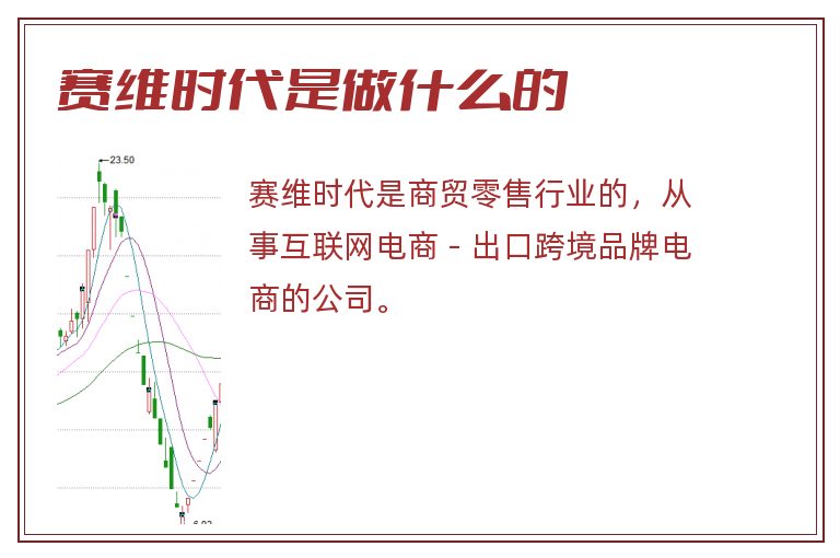 赛维时代是做什么的