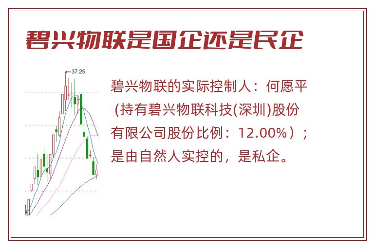 碧兴物联是国企还是民企