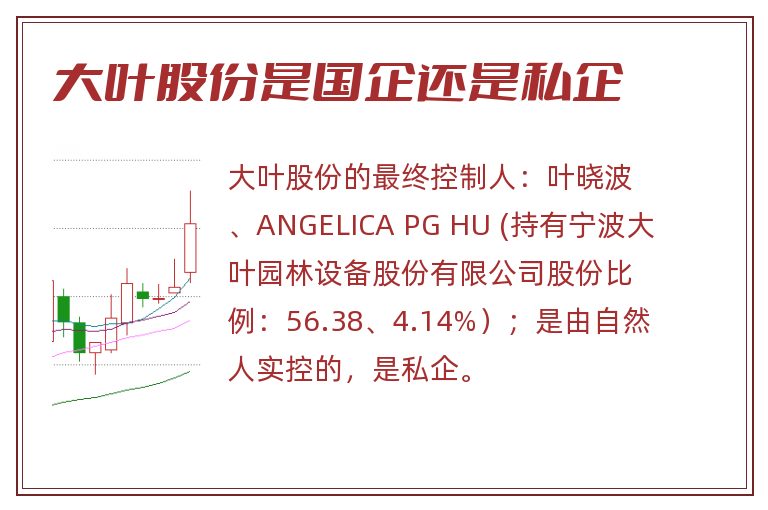 大叶股份是国企还是私企