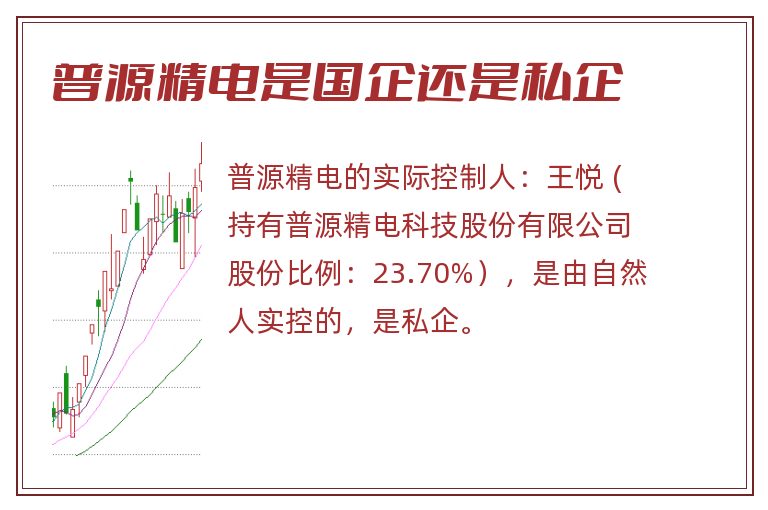 普源精电是国企还是私企