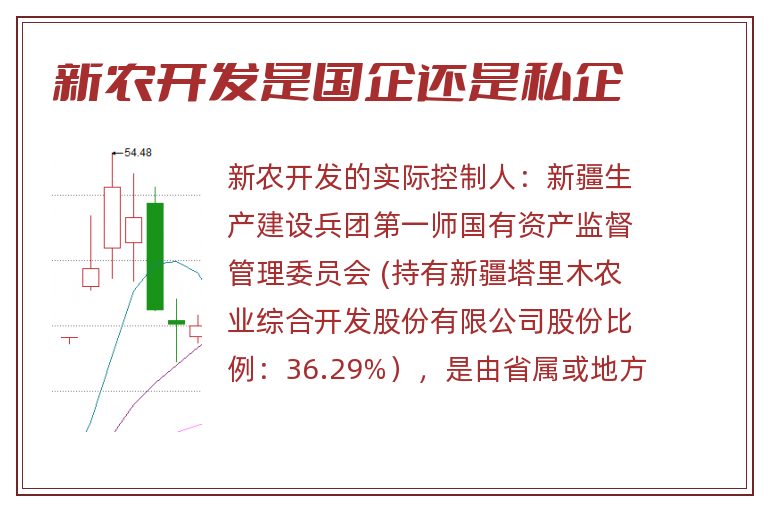 新农开发是国企还是私企