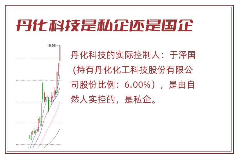 丹化科技是私企还是国企