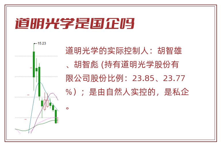 道明光学是国企吗