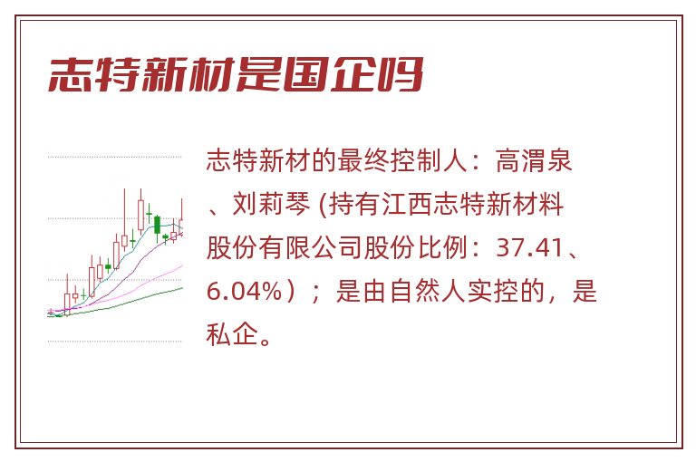 志特新材是国企吗