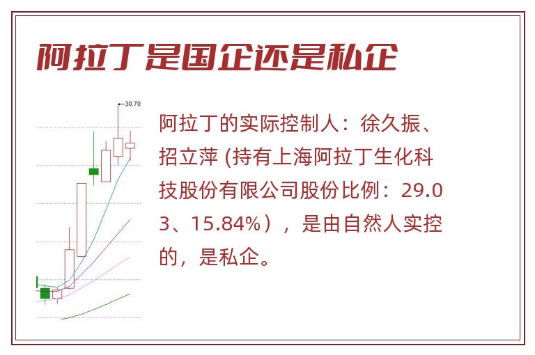 阿拉丁是国企还是私企