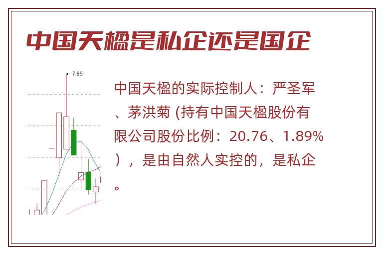 中国天楹是私企还是国企