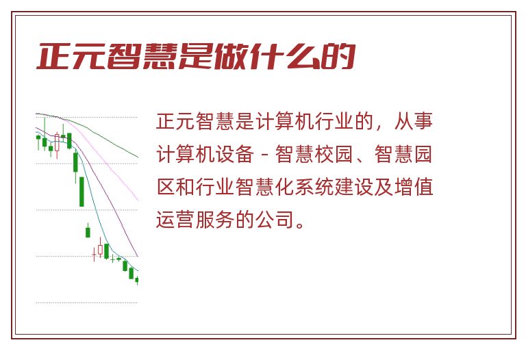 正元智慧是做什么的