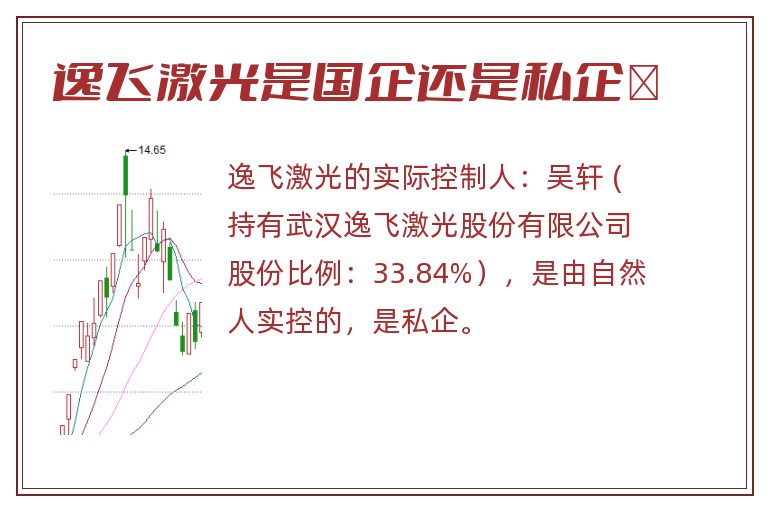 逸飞激光是国企还是私企	