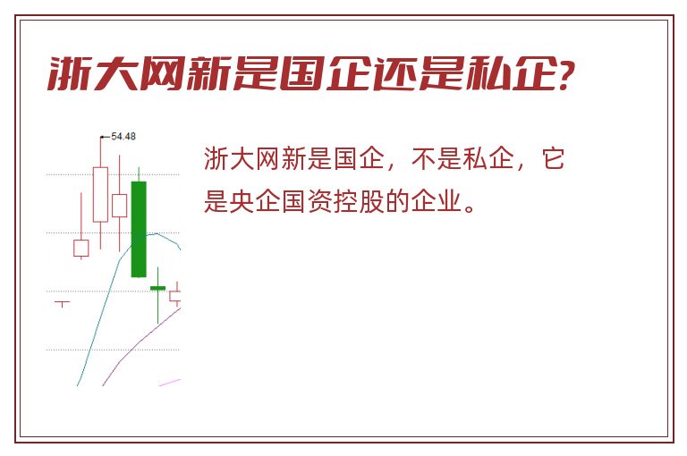 浙大网新是国企还是私企?