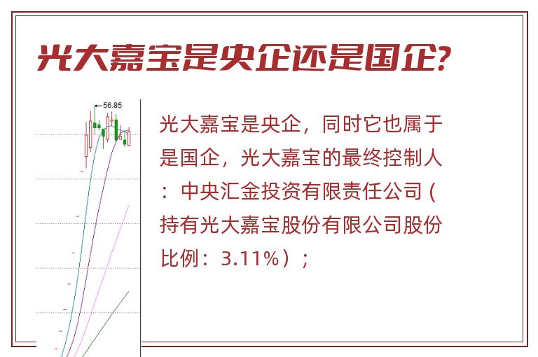 光大嘉宝是央企还是国企？